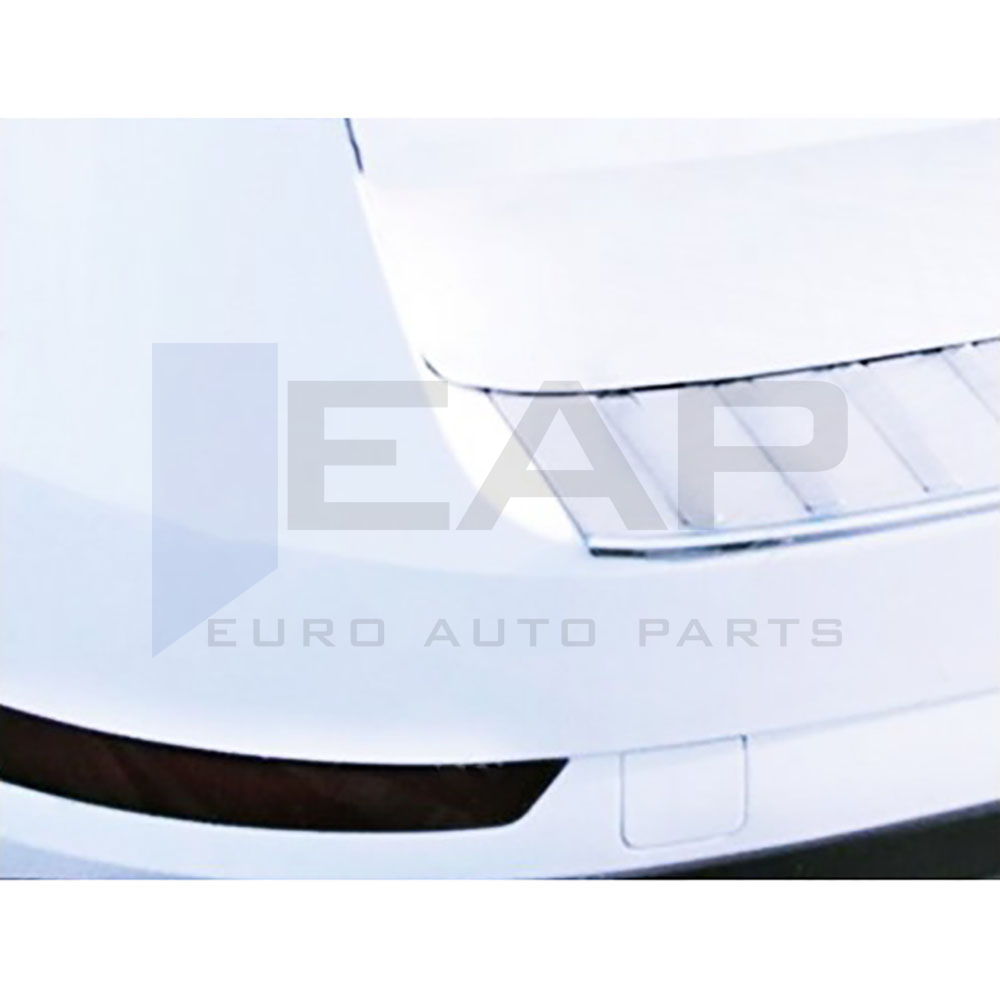 Rear Bumper Protector - Stainless Steel