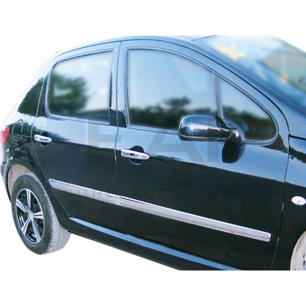 Side Door Trim - 4 Pcs - Stainless Steel