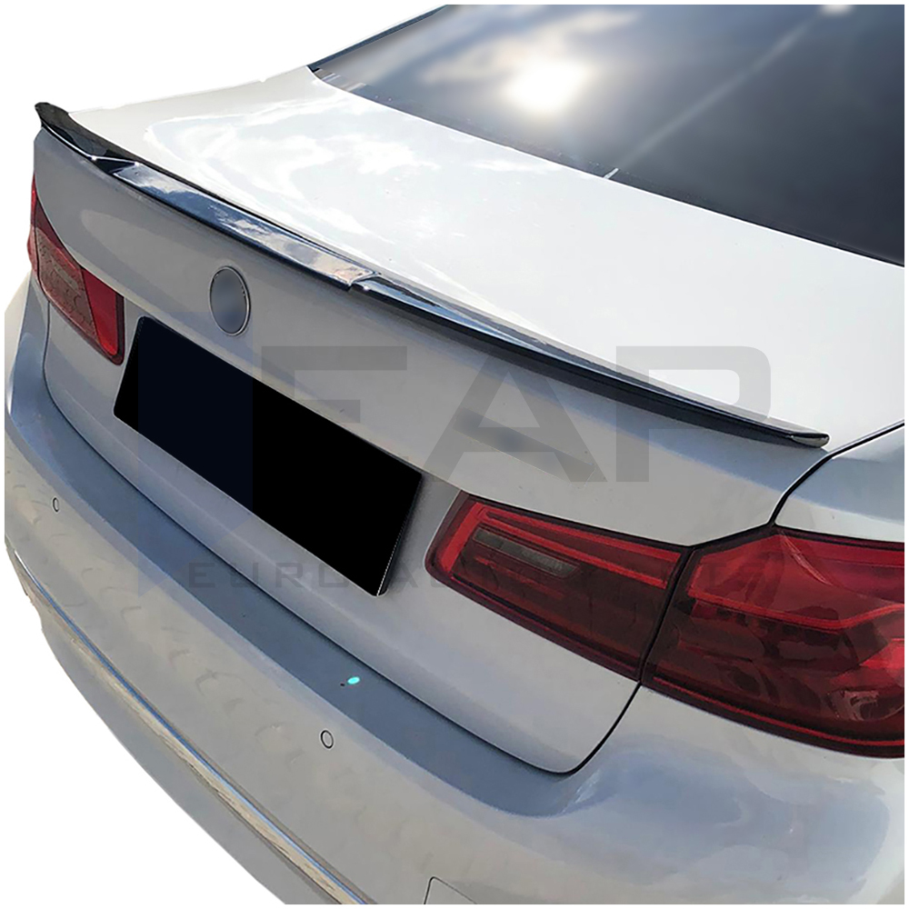 Anatomic Spoiler