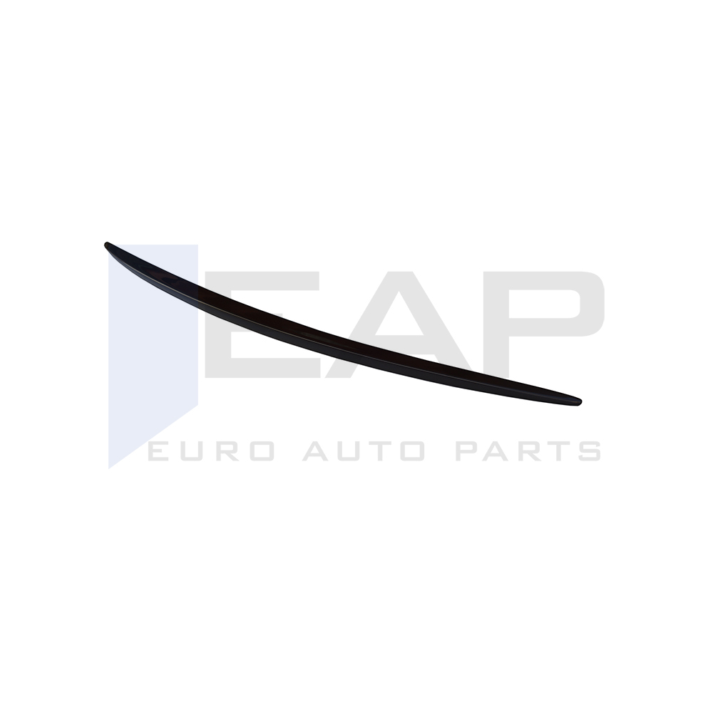 Anatomic Spoiler