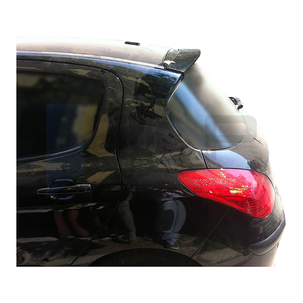 Anatomic Spoiler