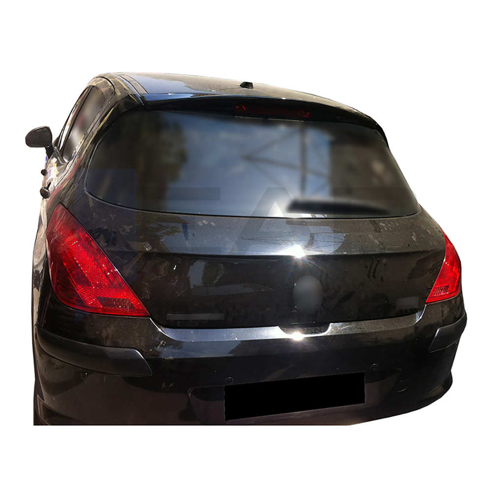 Anatomic Spoiler