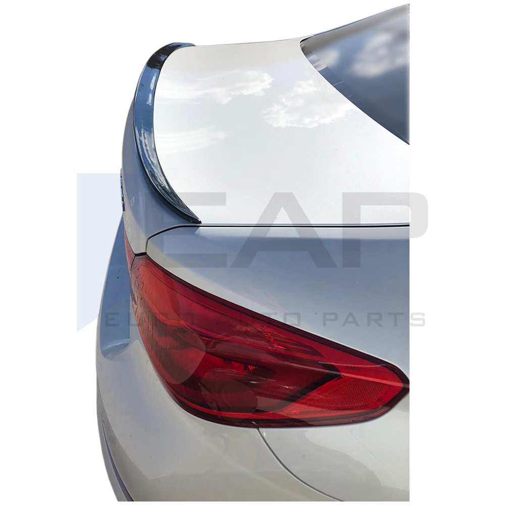 Anatomic Spoiler