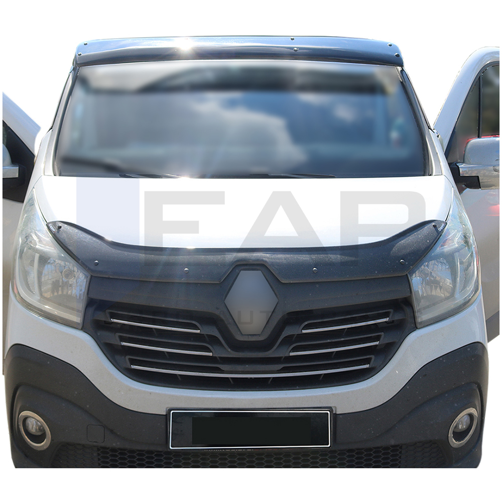 Sun Visor