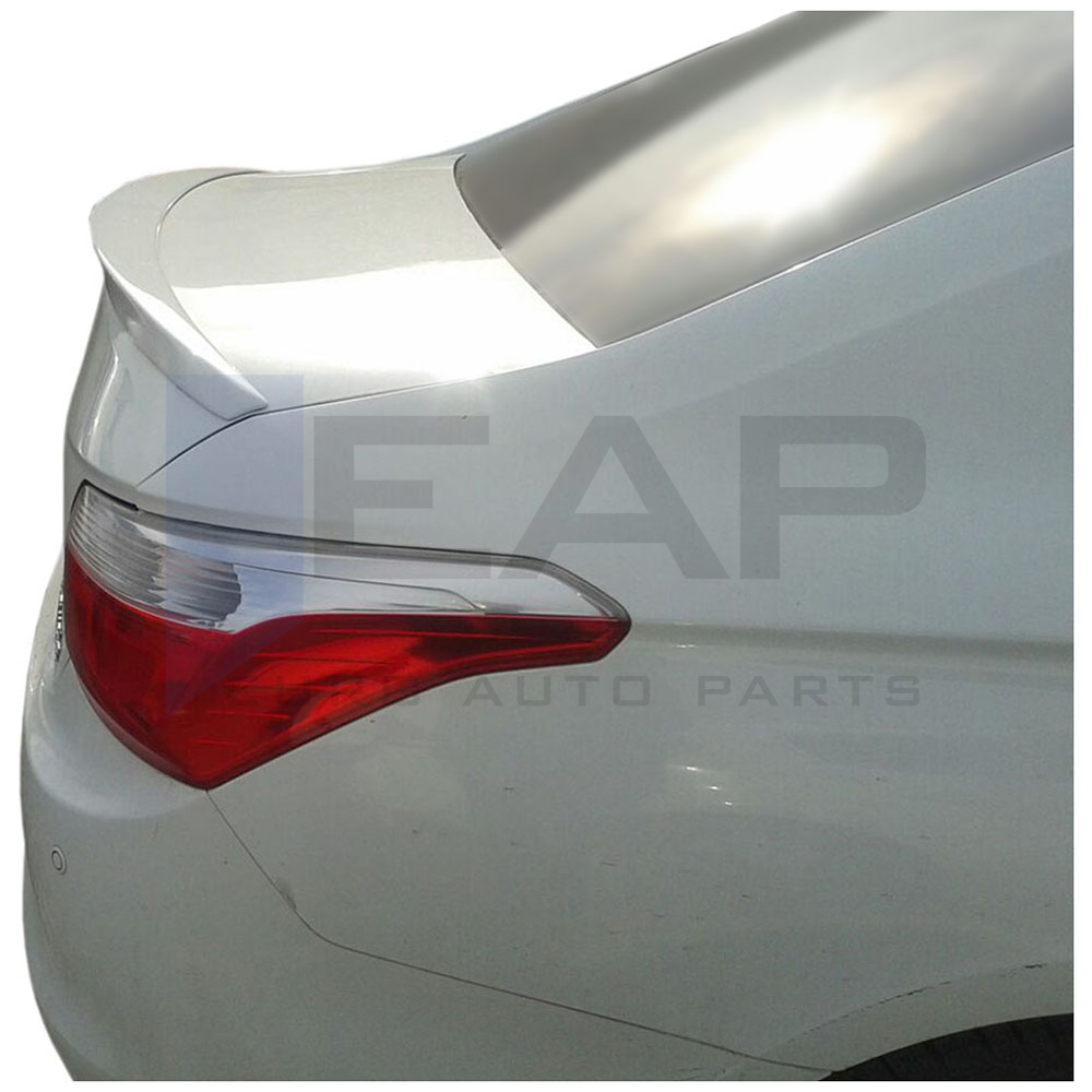 Anatomic Spoiler