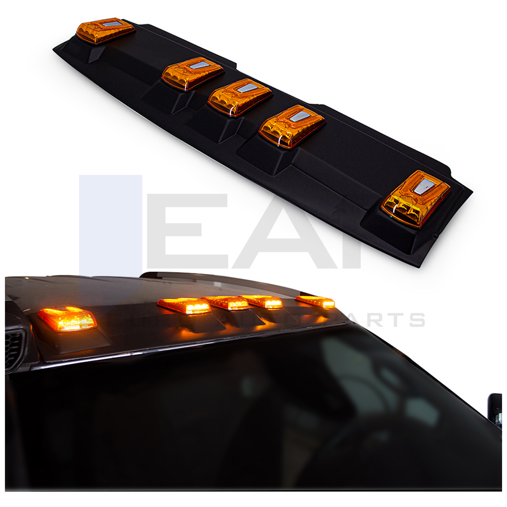 WİLD TRAK