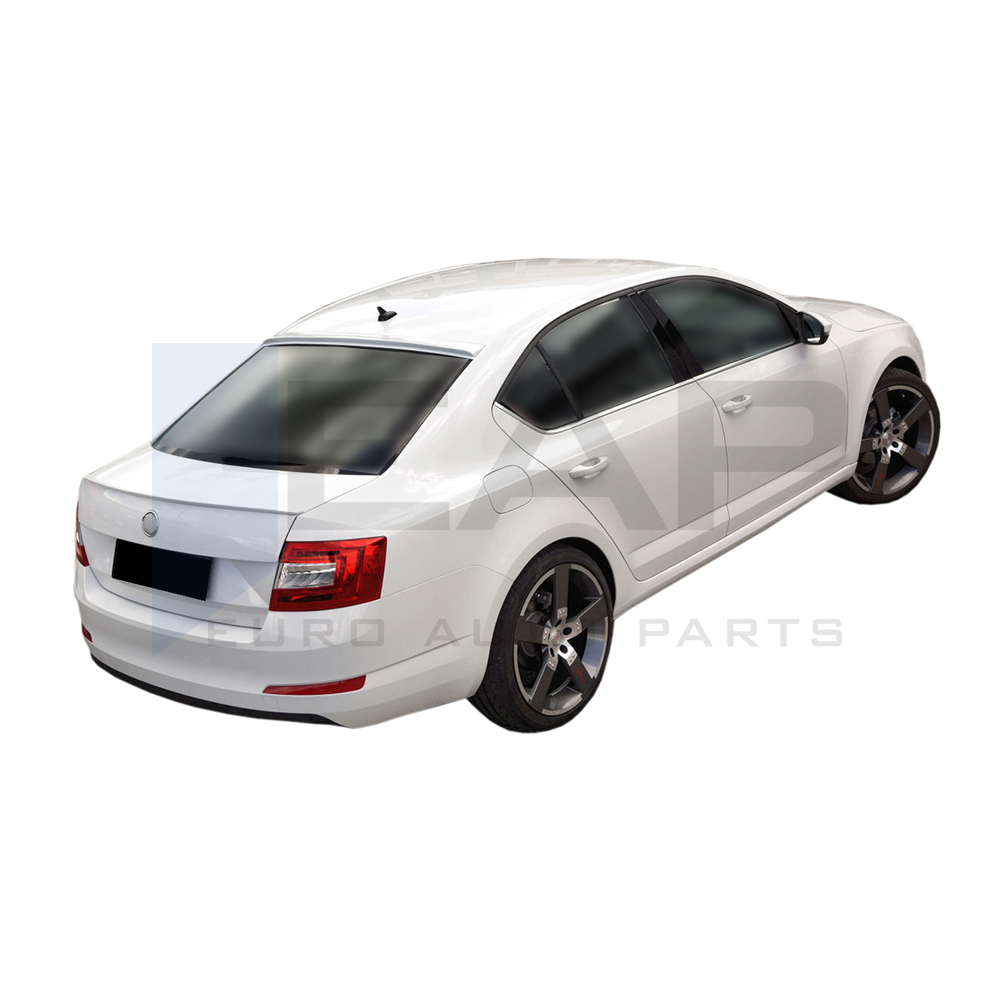 Anatomic Spoiler